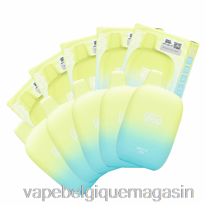 Vape Belgique [10-pack] Flum Pebble 6000 Jetable